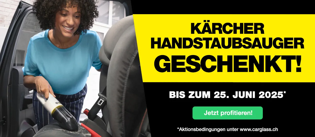 Kärcher Handstaubsauger