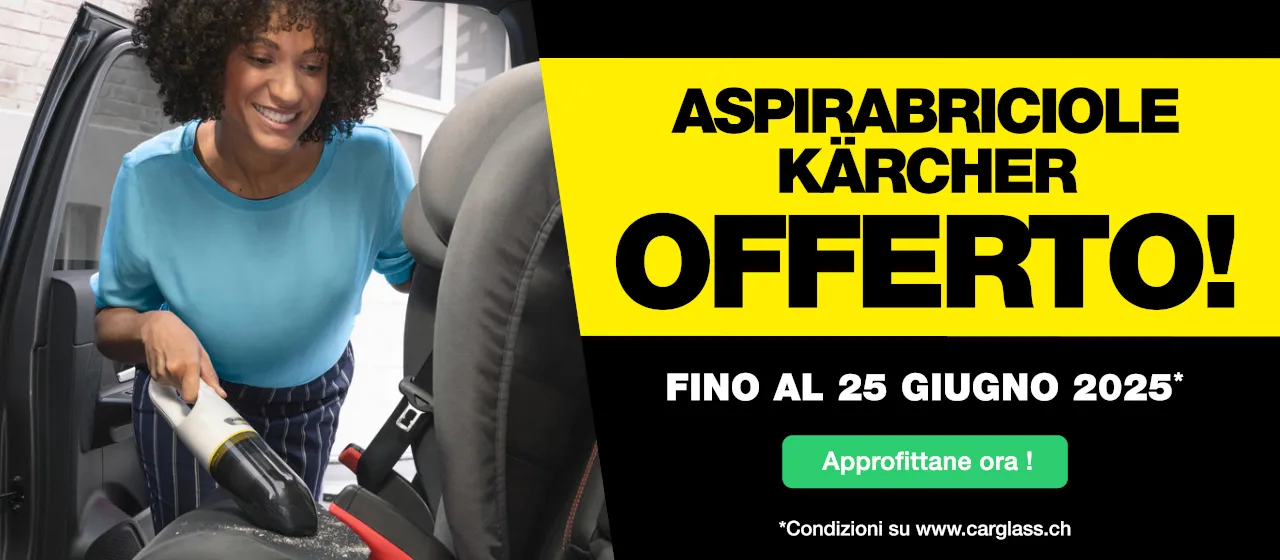 Aspirabriciole Kärcher